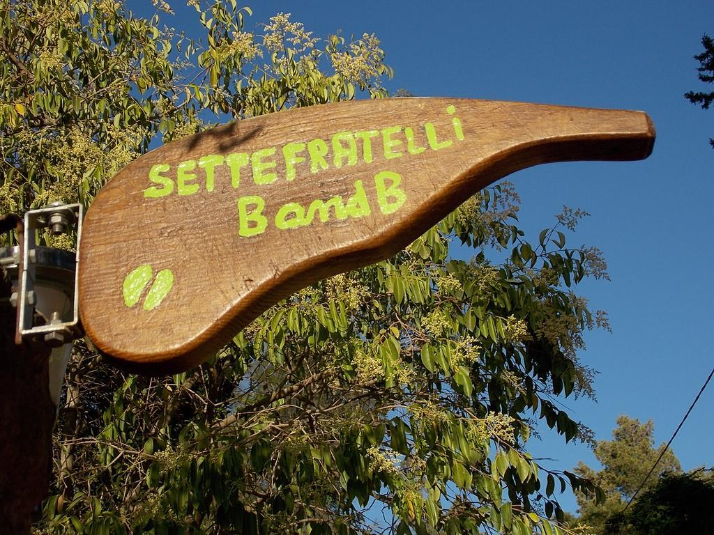 B&B Sette Fratelli San Gregorio  Kültér fotó